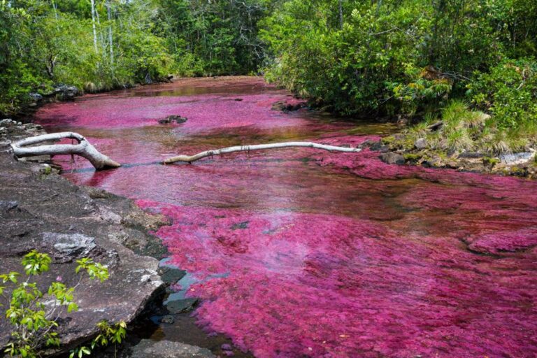 Irregularidades en Senderos Turísticos de Caño Cristales