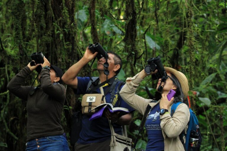 Colombia confirma primer lugar en el Global Big Day 2024