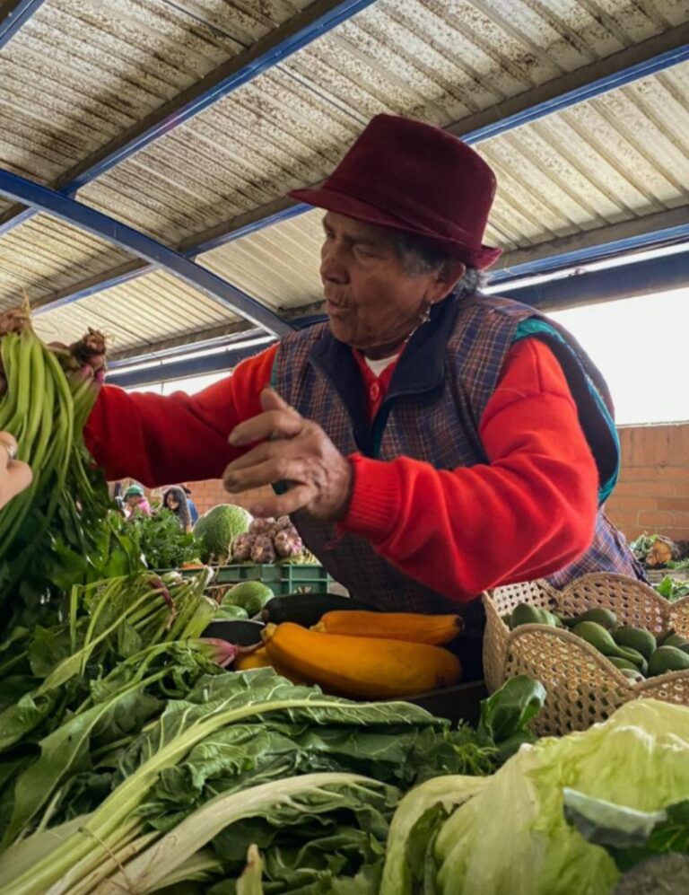 Mercado campesino agroecológico: Una fiesta de productos frescos y sostenibles en el Jardín Botánico de Bogotá.