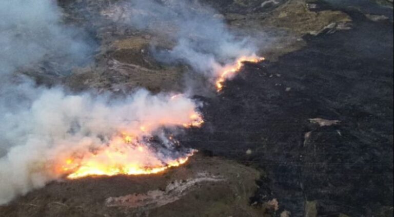 Colombia enfrenta 17 incendios forestales activos por escasez de lluvias y altas temperaturas.