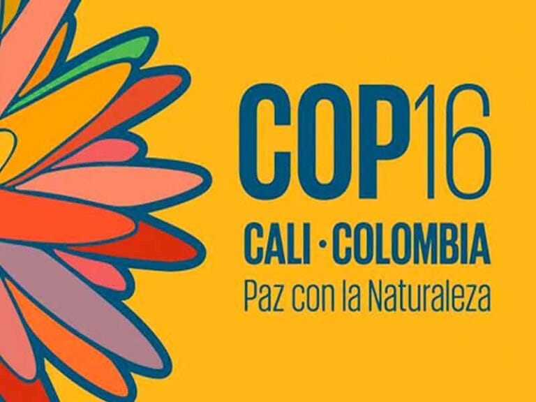 COP16: Villavicencio lleva la Voz de la Juventud a Cali por un compromiso con la Biodiversidad