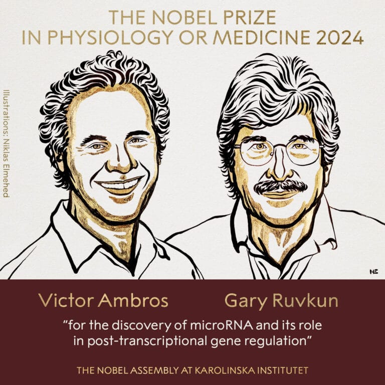 Victor Ambros y Gary Ruvkun ganan el Premio Nobel de Medicina.