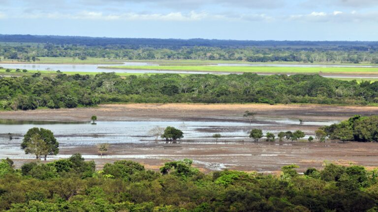 Paisaje Orinoquía colombiana