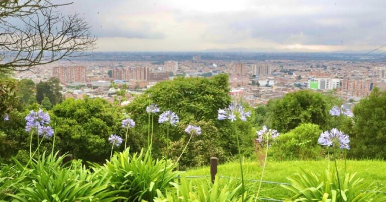 foto: secretaria de ambiente