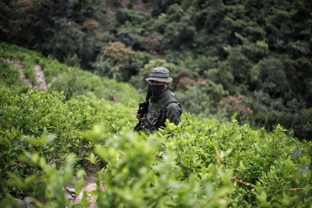 foto: Colprensa - Álvaro Tavera