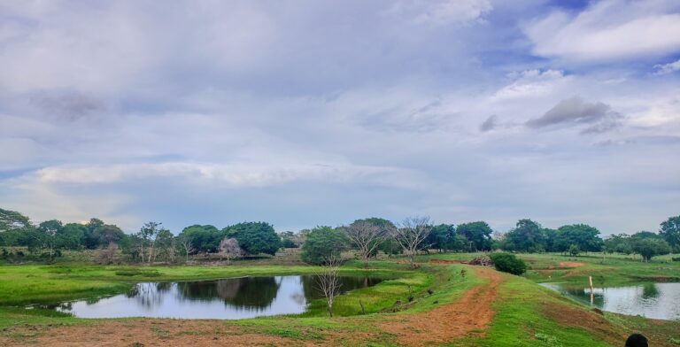 foto: Banco Agrario