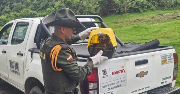 foto: Secretaria de Ambiente