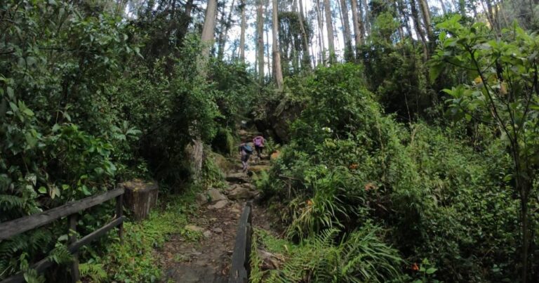 foto: Alcaldia de Bogotá