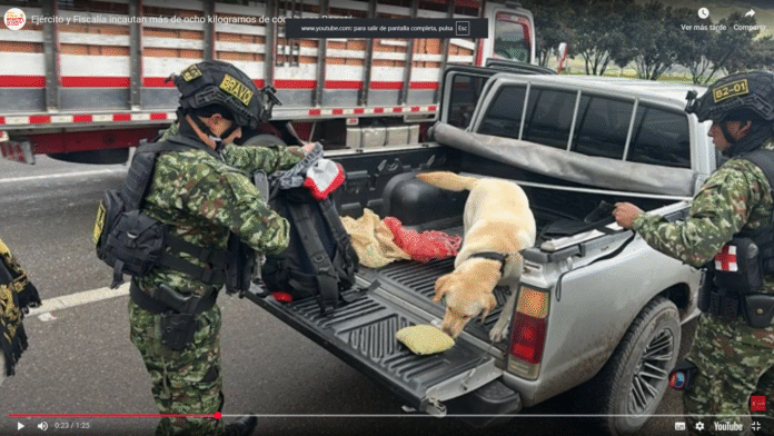 Foto Alcaldía de Bogota- pantallazo -autoridades ubicaron en la localidad de Usme de Bogotá, una camioneta con el alcaloideimage.png