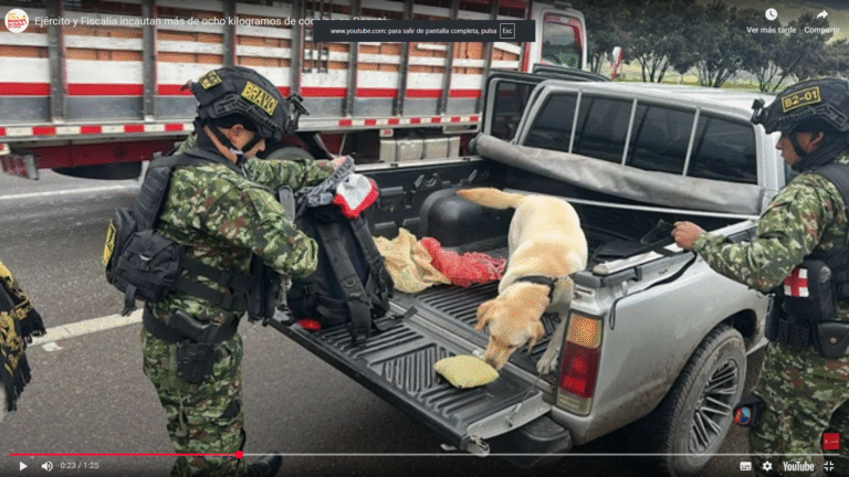 Foto Alcaldía de Bogota- pantallazo -autoridades ubicaron en la localidad de Usme de Bogotá, una camioneta con el alcaloideimage.png