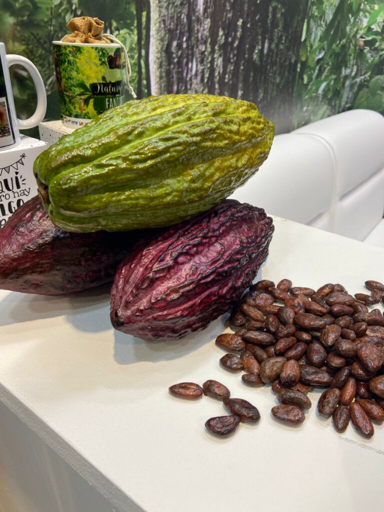 Meta exporta 12 toneladas de cacao a Japón