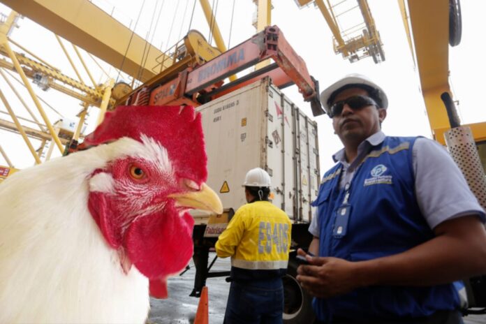 carne-pollo-colombiana-japon-exportacion.jpg