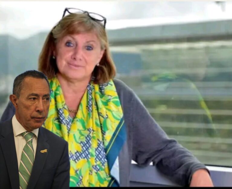 Renuncia Mónica de Greiff Ecopetrol