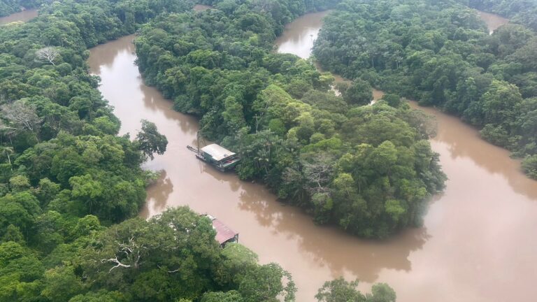 Deforestación en Amazonía colombiana se redujo en 25%: minambiente