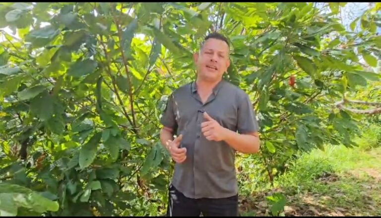 Alerta en Tolima por impacto de las APPA en turismo