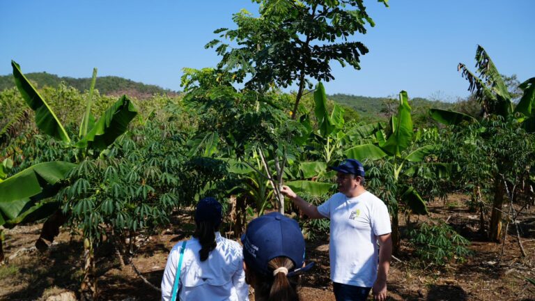 El Bledo transforma tierras degradadas en despensas agrícolas
