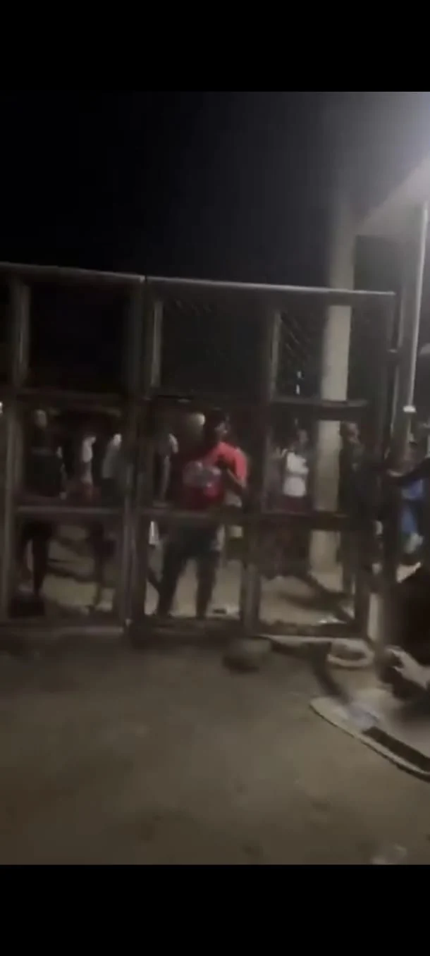 Video de destruccipon de urnas