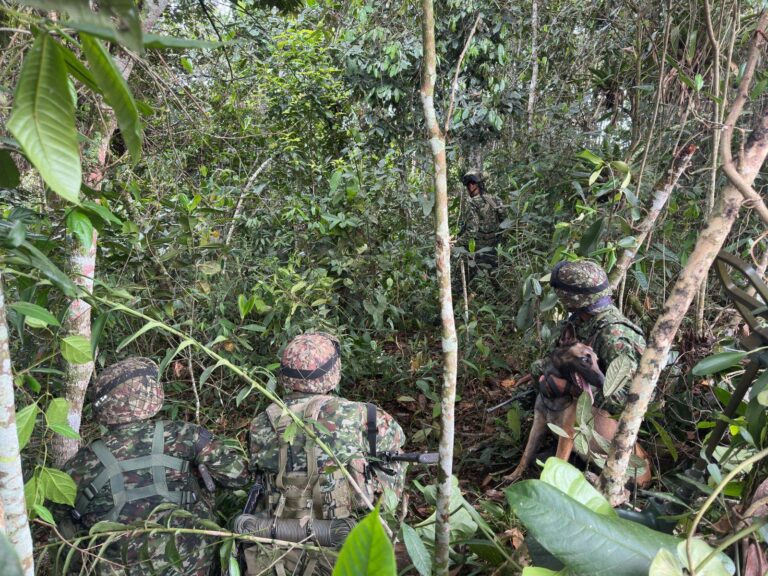 Ejército destruye granadas halladas en zona rural de La Plata – Huila