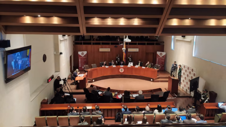 Corte Constitucional