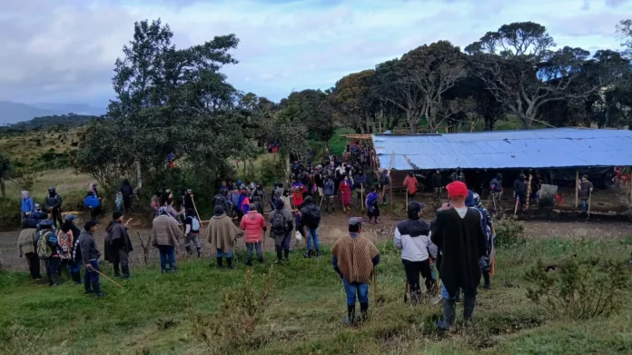 enfrentamientos misak y nasa
