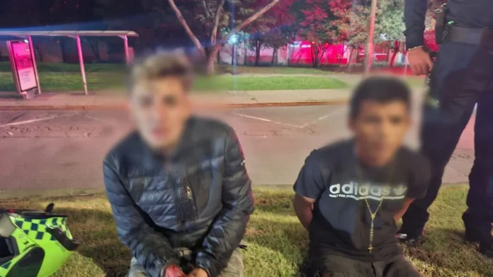 homicidio de conductor de aplicación