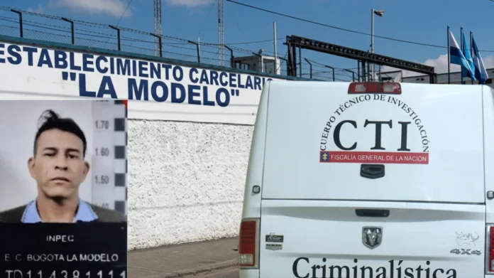 muerte de visitante