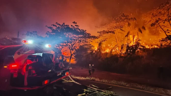 incendios forestales en Tolima