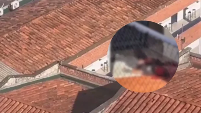 Adolescente ingresó con arma
