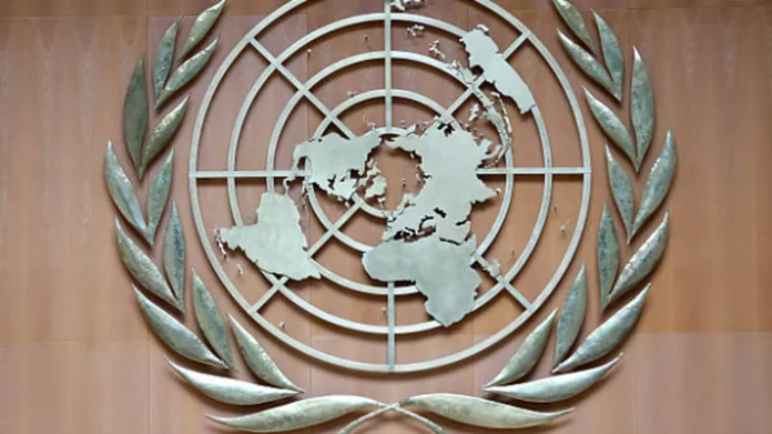 misión de la ONU